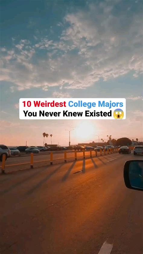 10 Weirdest College Majors You Never Knew Existed.